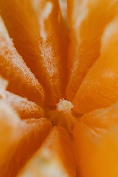 Orange Segments in Macro Photography 