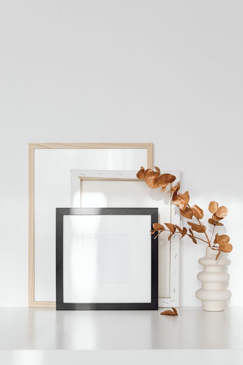 Free Wooden Picture Frames near the Eucalyptus Leaves  Stock Photo