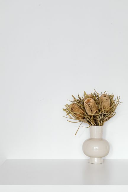 Elegant dried Banksia flowers in a ceramic vase on a white surface, showcasing minimalist decor.