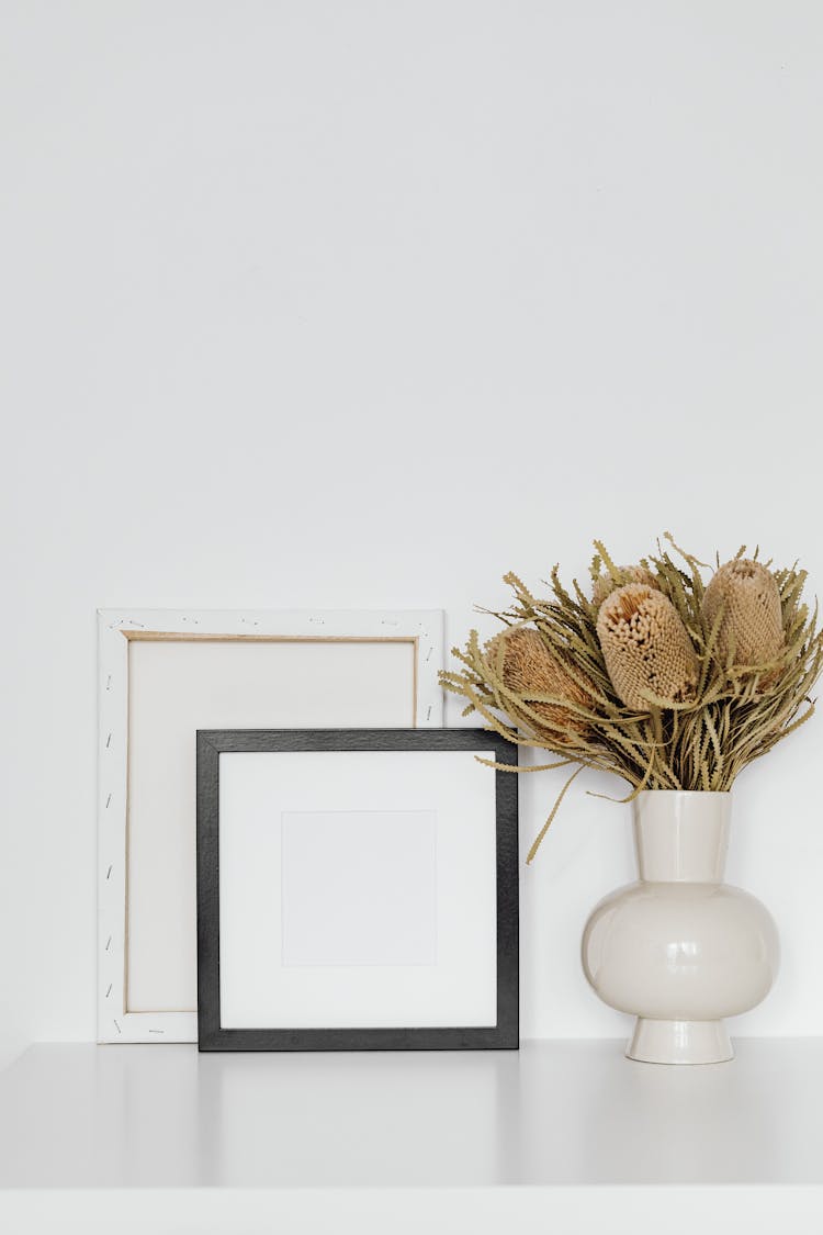 Empty Picture Frames And A Plant Vase Against A White Background