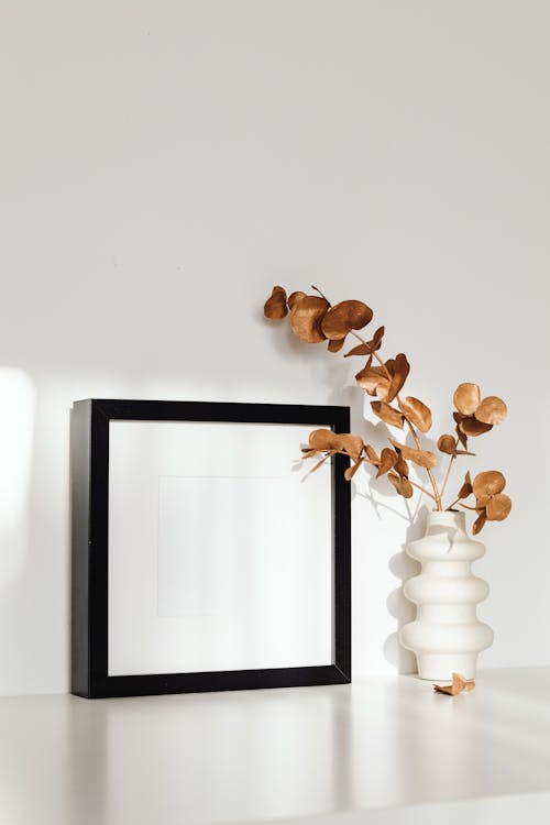 Brown Eucalyptus Leaves near the Black Picture Frame 