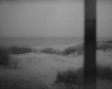 灰度海滩场景与沙丘，海浪和宁静的氛围