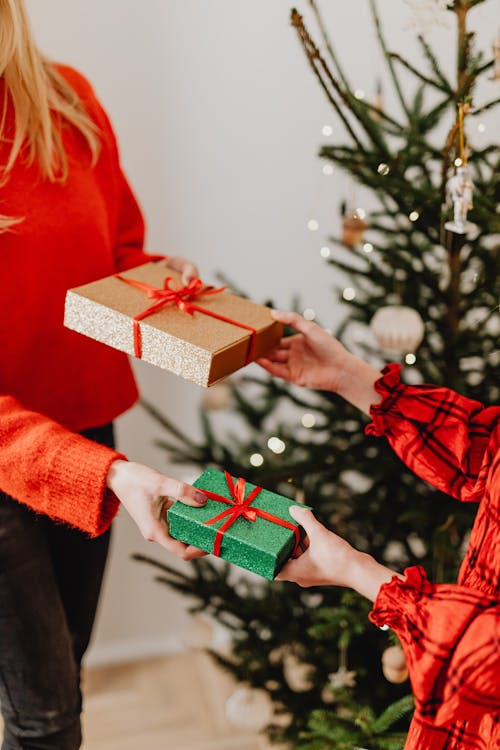 Foto profissional grátis de arcas, árvore de Natal, dons