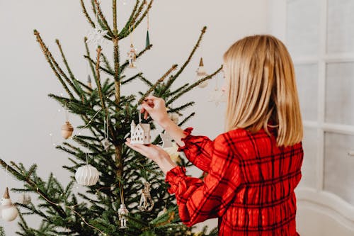 Foto profissional grátis de árvore de Natal, cabelo loiro, cordão de lâmpadas