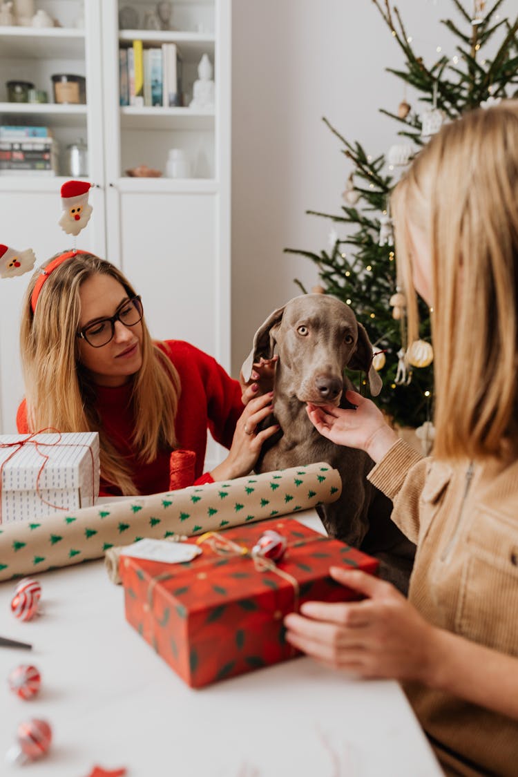 Women Wrapping Christmas Presents And Petting A Dog 