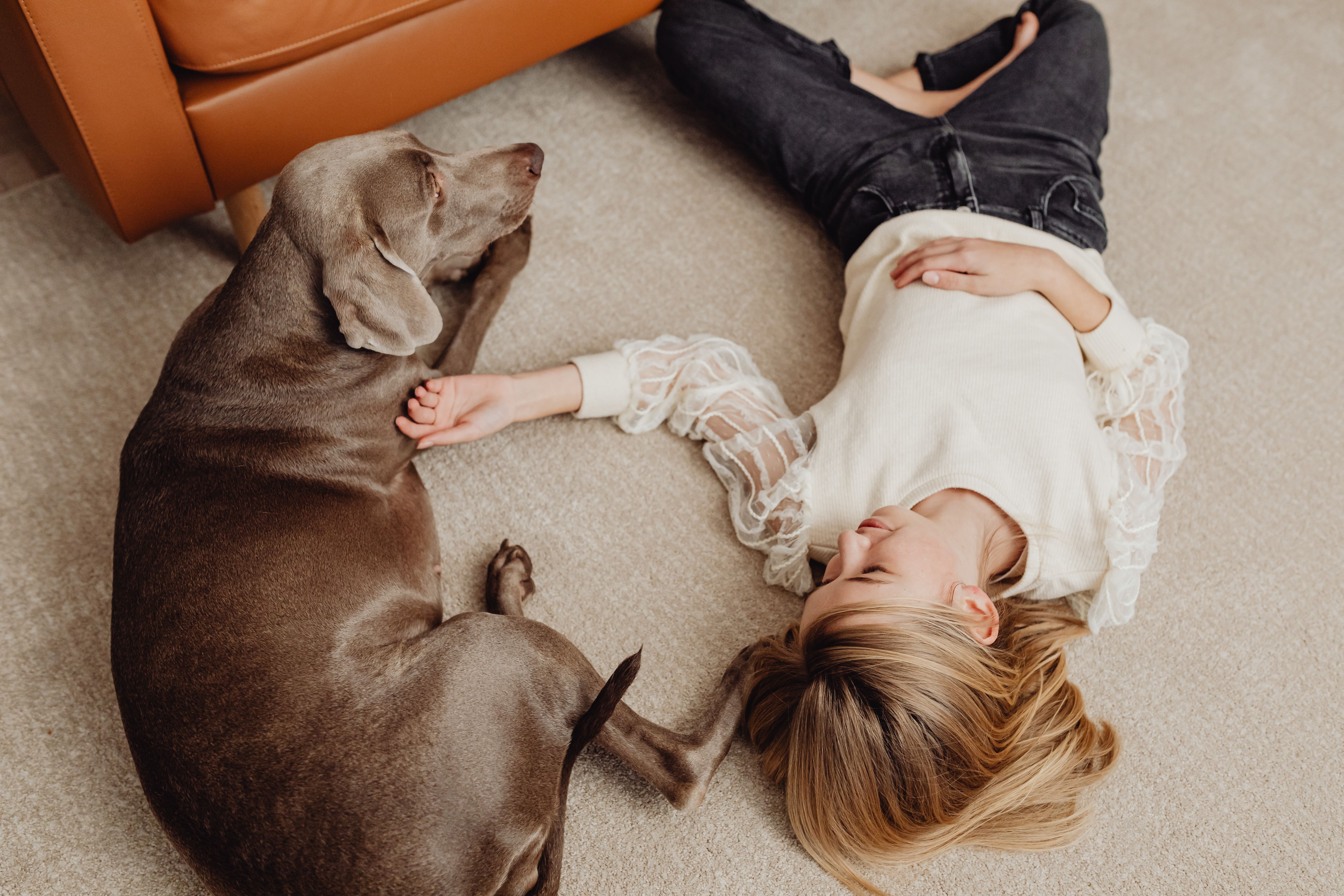 How To Get Dog Hair Out Of Carpet: 5 Brilliant Hacks To Destroy Static Cling