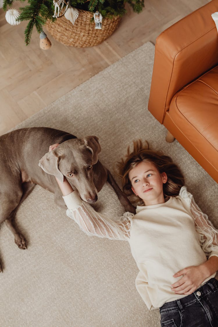 Girl And A Brown Dog Lying Down On A Beige Carpet