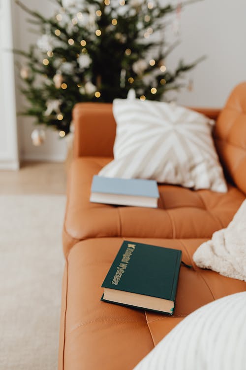 Books on a Sofa at Christmas Time 