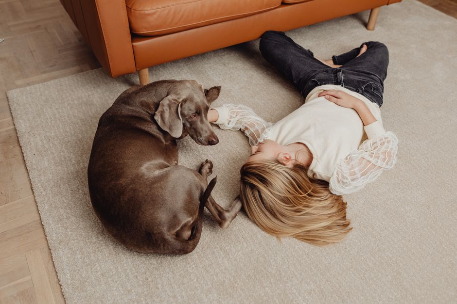 Pet Insurance for Pets Living in Apartments UK 2026: A Guide
