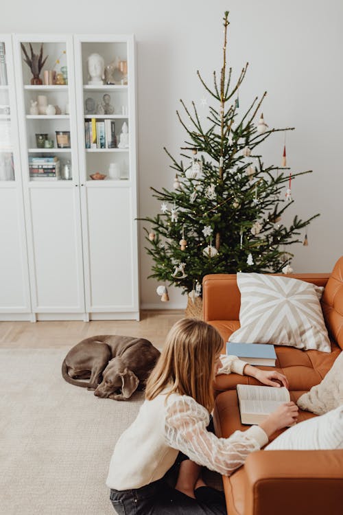 Gratis stockfoto met bank, boek, eigen tijd