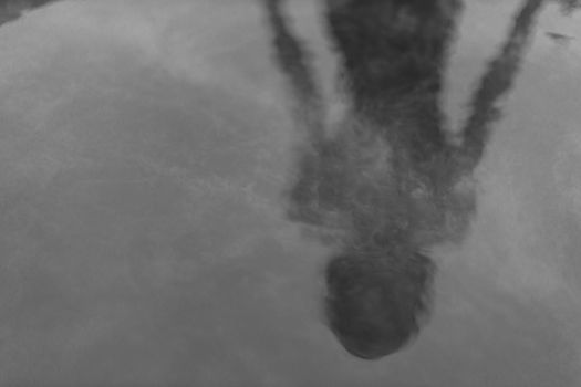 水面上倒映着神秘的黑白轮廓