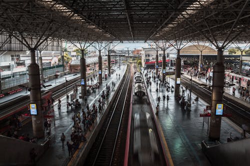 Foto profissional grátis de estação de trem, pessoas, plataforma de trem