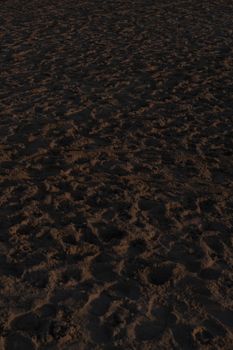 From above of sandy seashore with many traces located in tropical resort on embankment at sundown time on summer evening