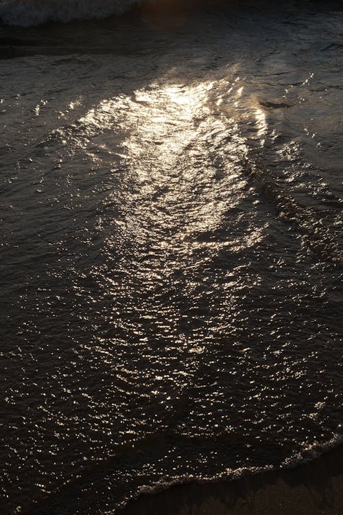 Бесплатное стоковое фото с аквамарин, атмосфера, берег