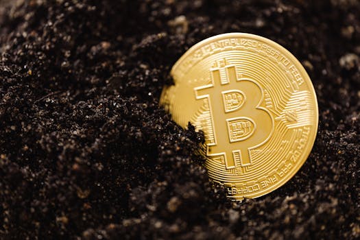 BTC Price Tops $124K: DDC & VCI Global Position Bitcoin as Core Asset