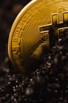 部分埋在黑暗土壤中的黄金比特币的详细特写，象征着数字财富