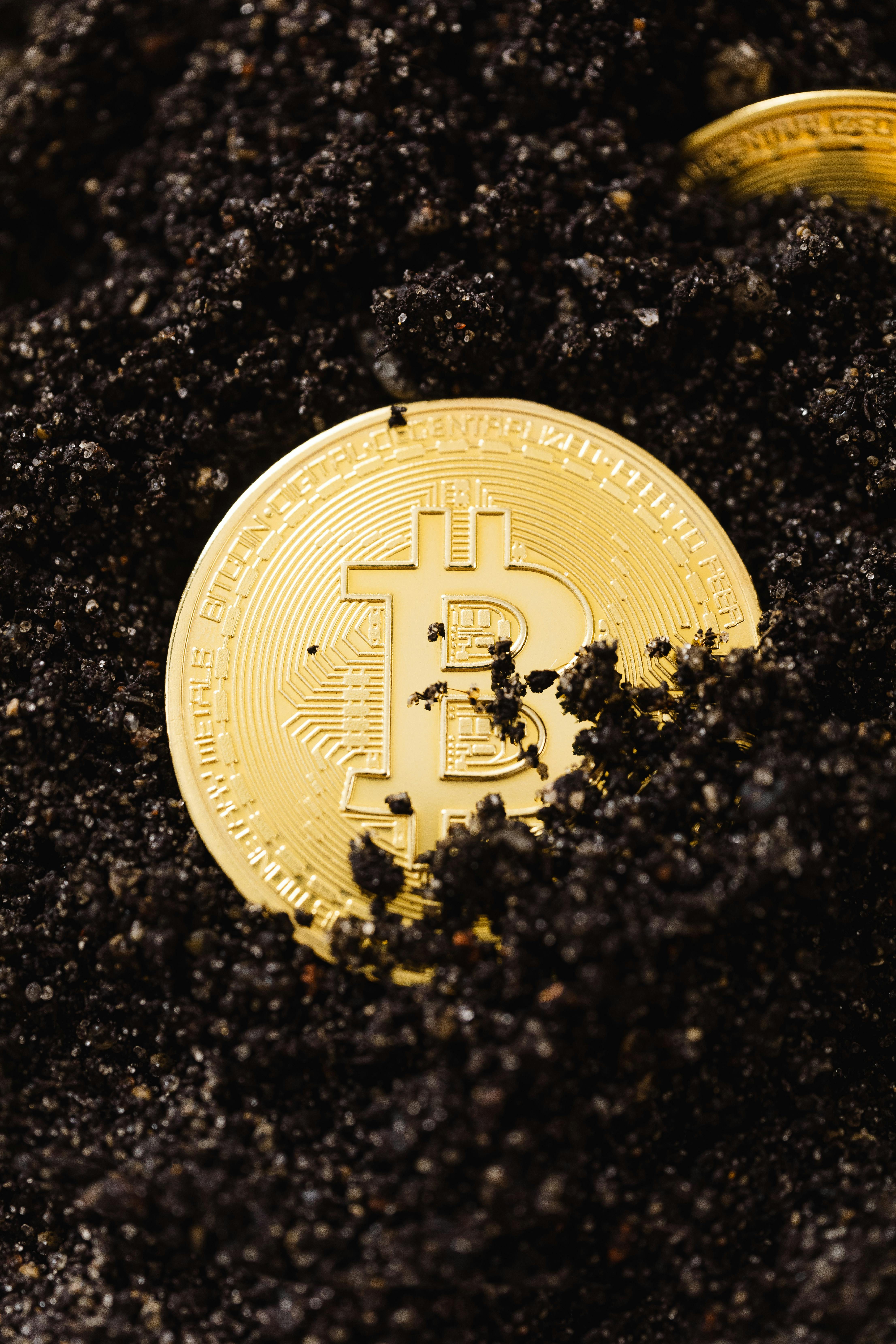 close up shot of bitcoins buried in the ground