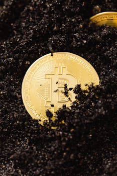 Close-up of a golden Bitcoin coin partially buried in dark soil, symbolizing digital wealth.
