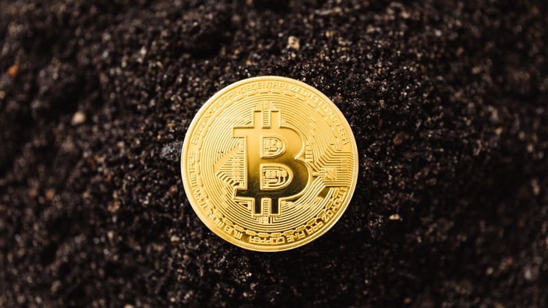 Close-up of a golden Bitcoin coin resting on dark soil, symbolizing cryptocurrency growth.