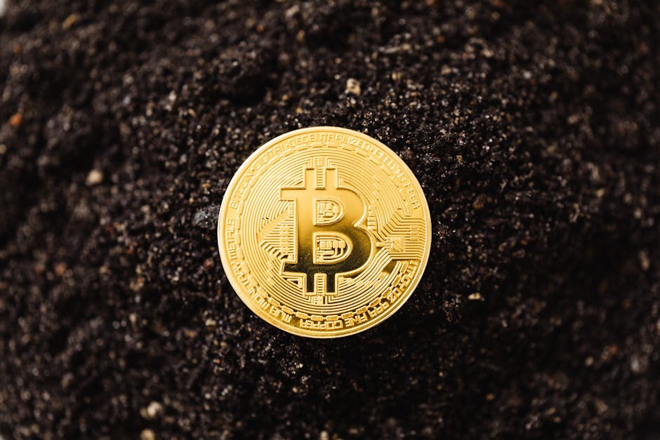 Close-up of a golden Bitcoin coin resting on dark soil, symbolizing cryptocurrency growth.
