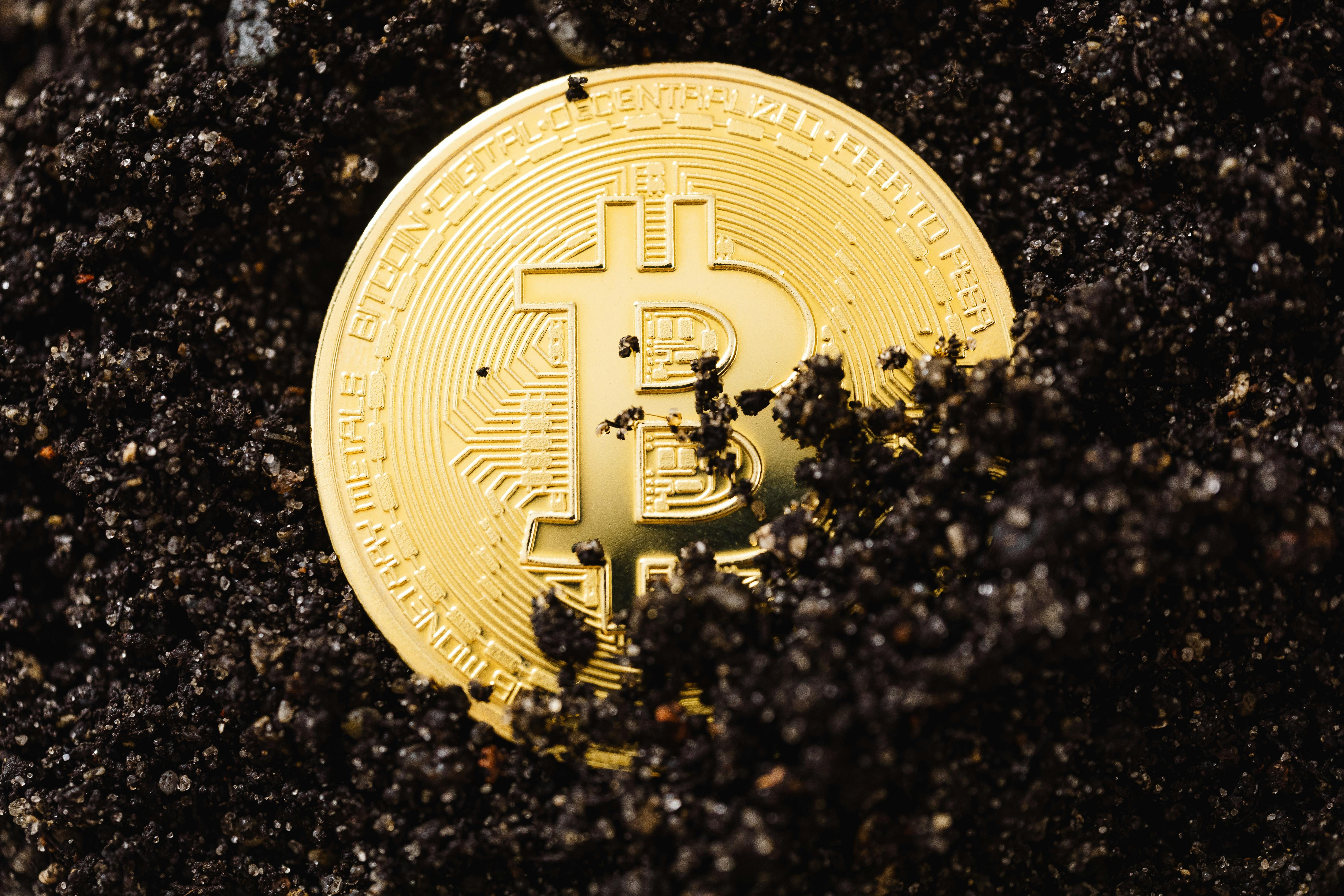 close up shot of bitcoins buried in the ground