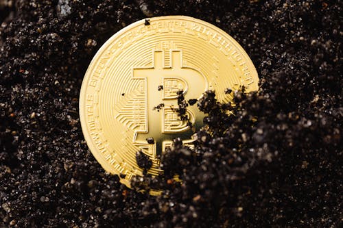 Free Close-Up Shot of Bitcoins Buried in the Ground Stock Photo