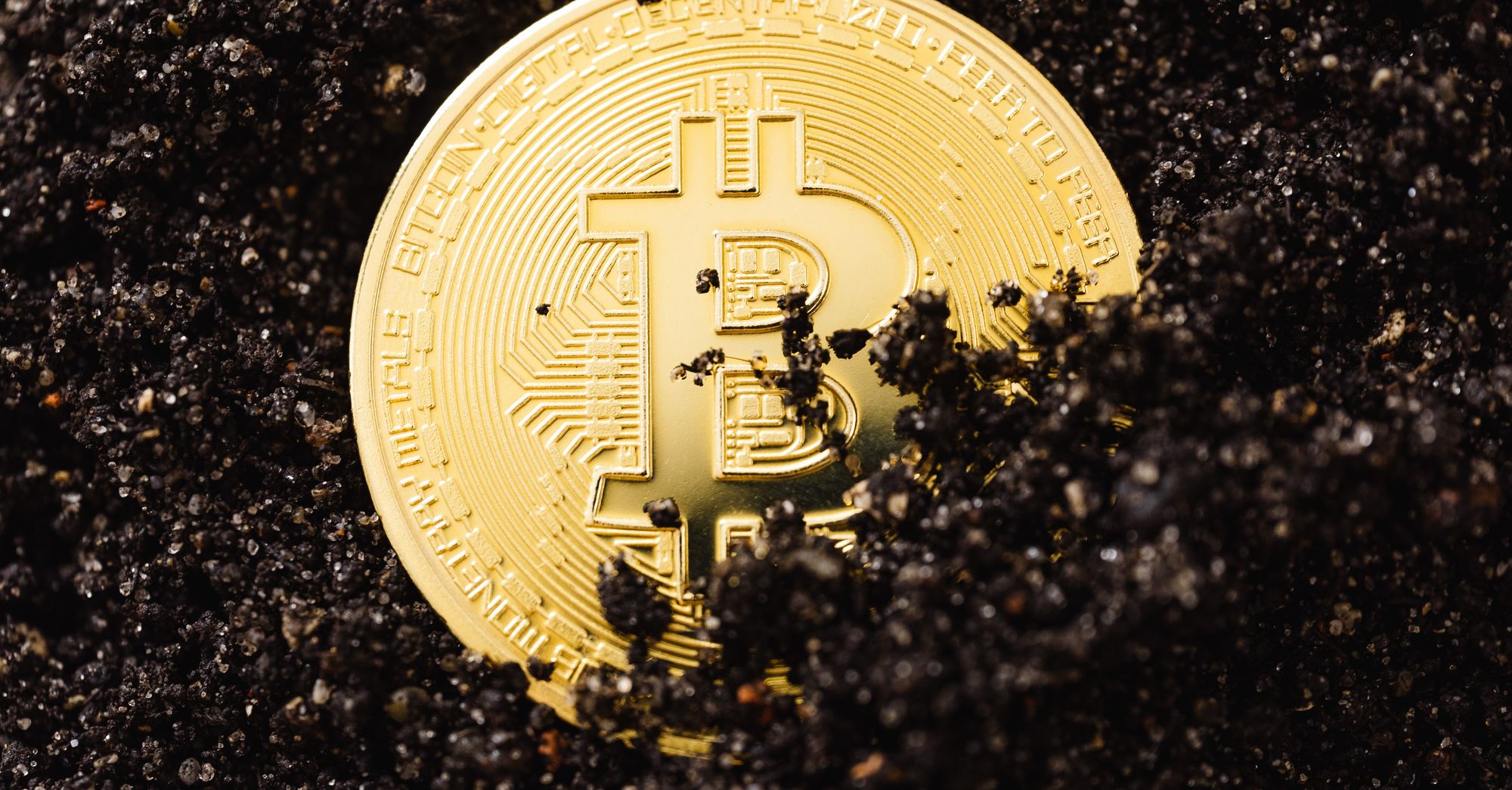 Riot Posts $167M Q1 Revenue as Bitcoin Hits $78K, Signaling Miner Resilience