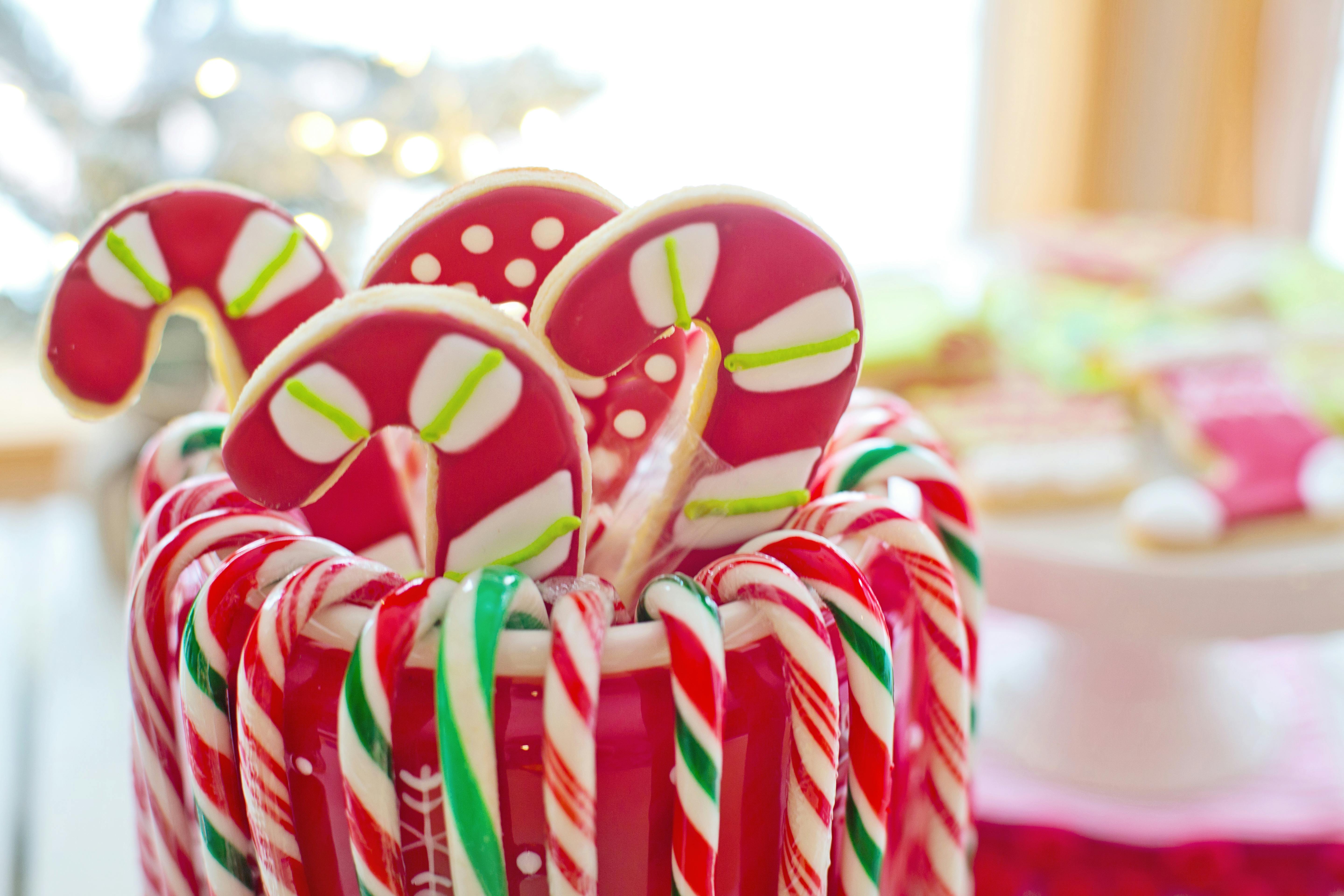 Christmas Candy Canes Cup On White Stock Photo 622542176