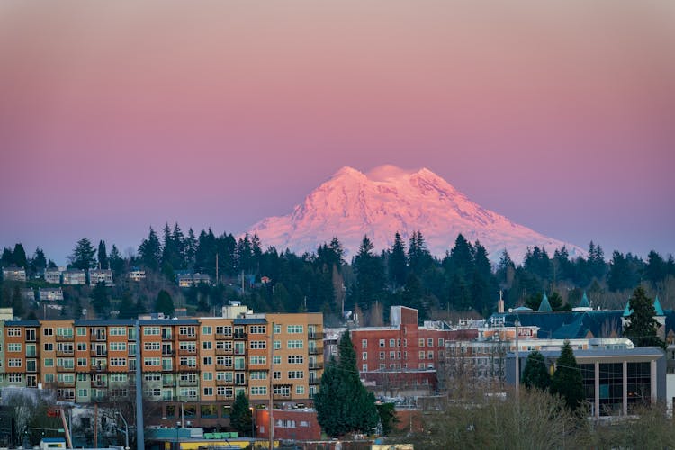 Purple Sunset Over Olympia, Washington