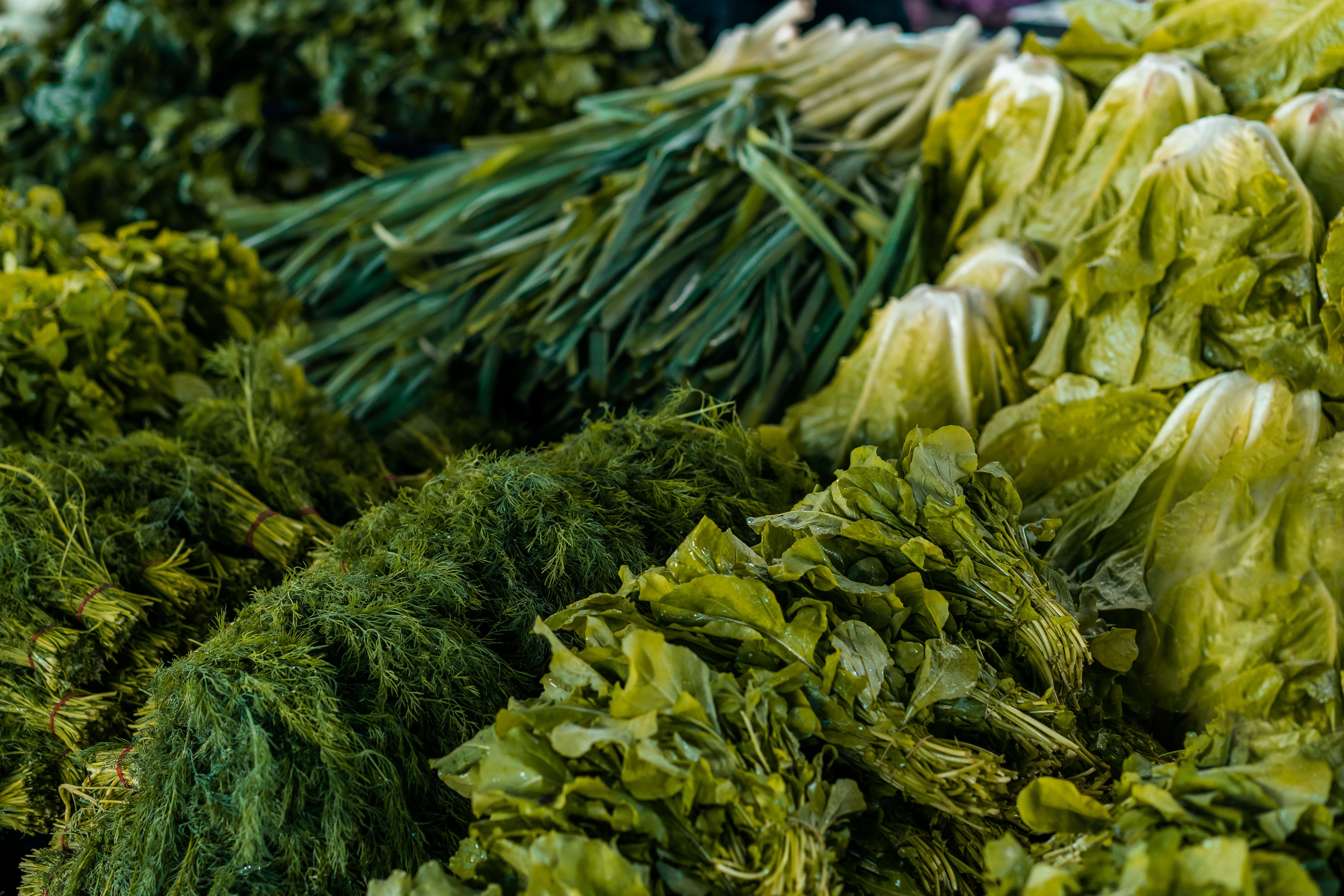 Nourish Your Liver: Top Foods for a Healthy Liver