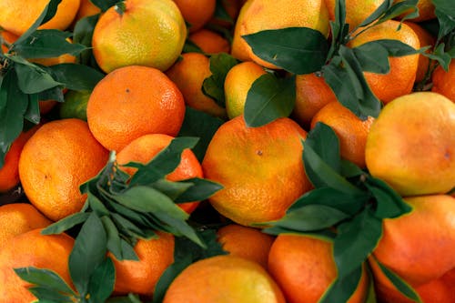 Top view heap of fresh unpeeled orange mandarins with green leaves placed together on stall in market during harvest season