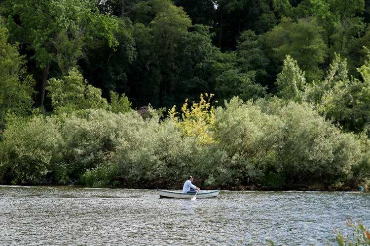 Man Rowing In A Boat On Water In A Natural Setting