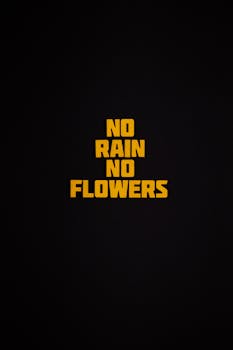 Minimalistic text 'No Rain No Flowers' on a black background for motivational designs.