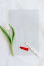 White Tulip Flower and Pregnancy Test Kit on Paper