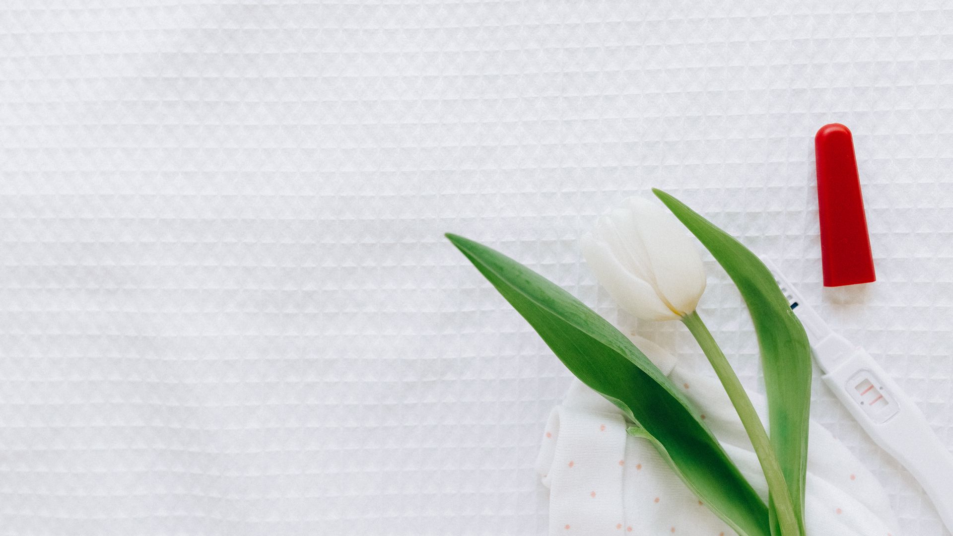 Modafinil Effect on Fertility: What You Need to Know Flat lay of a positive pregnancy test next to a white tulip on a textured white background — modafinil effect on fertility