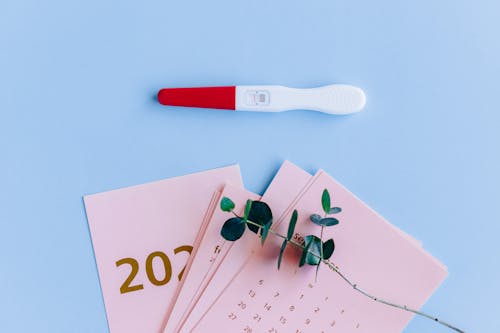 A Stem of Green Plant on Calendar Cards 