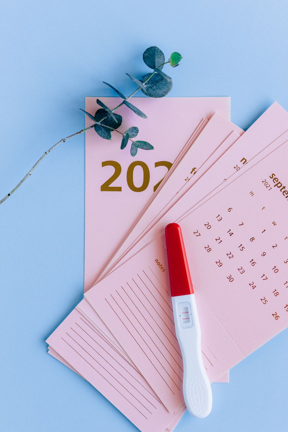 A Positive Result Of Pregnancy Test Kit On Pink Calendar Free Stock Photo a-positive-result-of-pregnancy-test-kit-on-pink-calendar-free-stock-photo