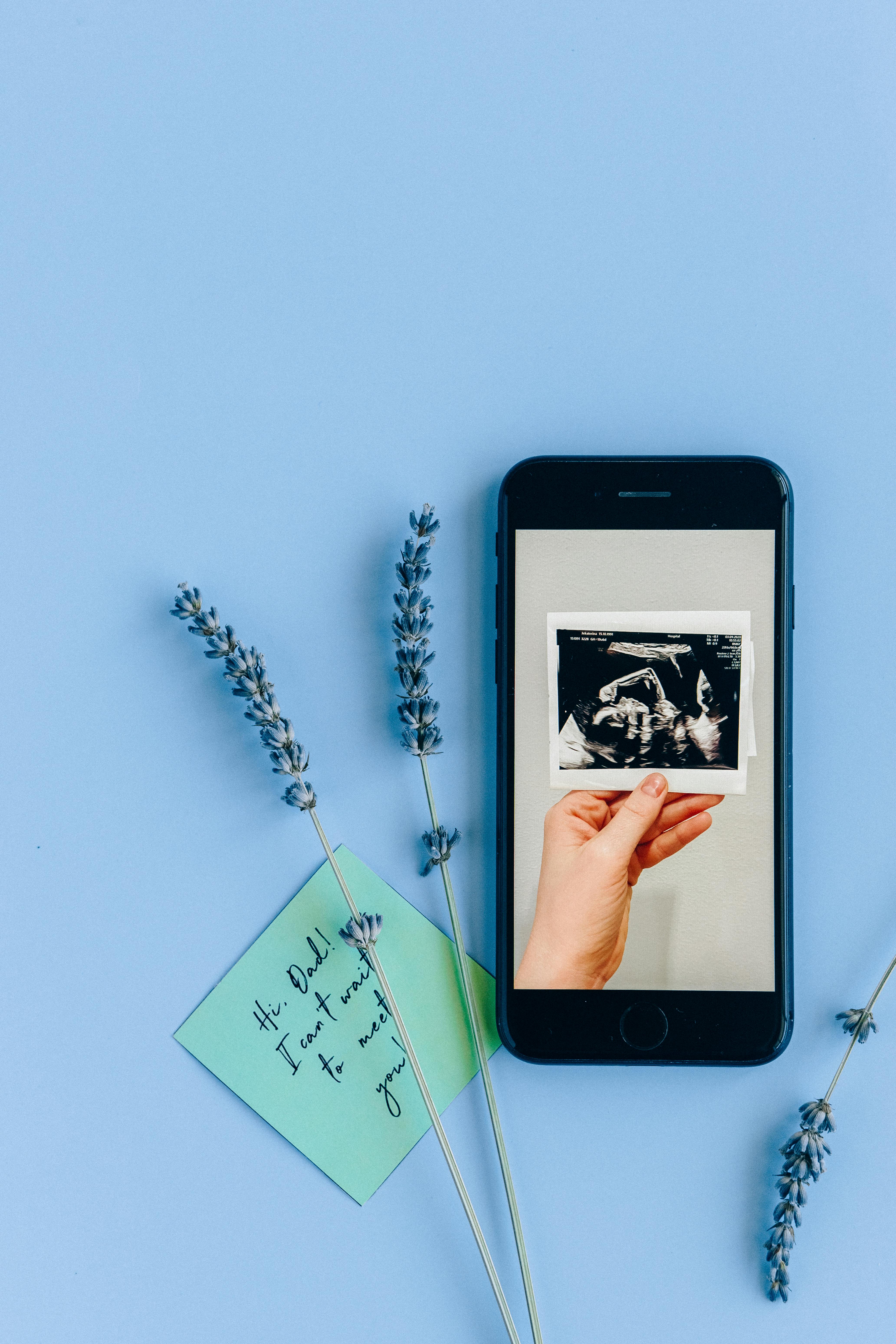 Understanding Gestational Development: Nurturing Connections with Your Baby at 12-16 Weeks of Pregnancy