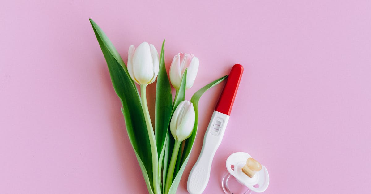 Flat lay of pregnancy test, pacifier, and tulips on pink surface conveying fertility and new beginnings.