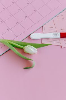粉红色背景上，有妊娠测试棒、日历和白色郁金香的明亮图像