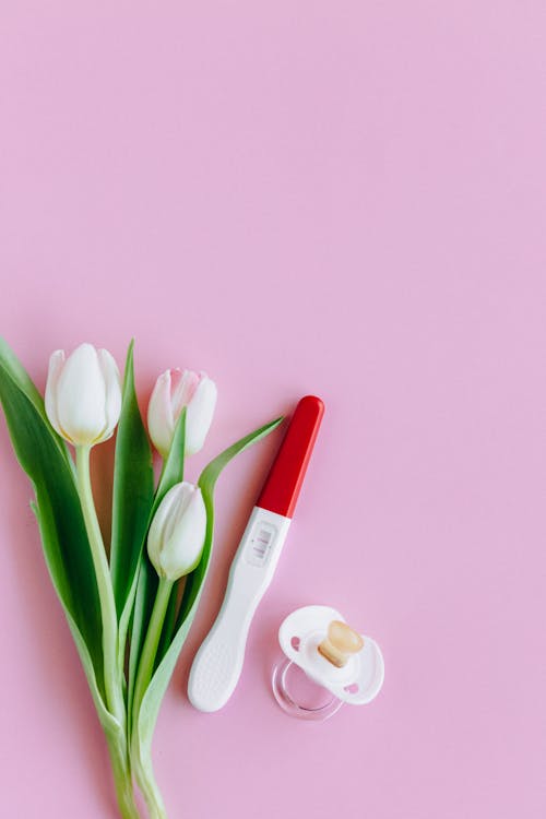 Pregnancy Test Beside White Tulips