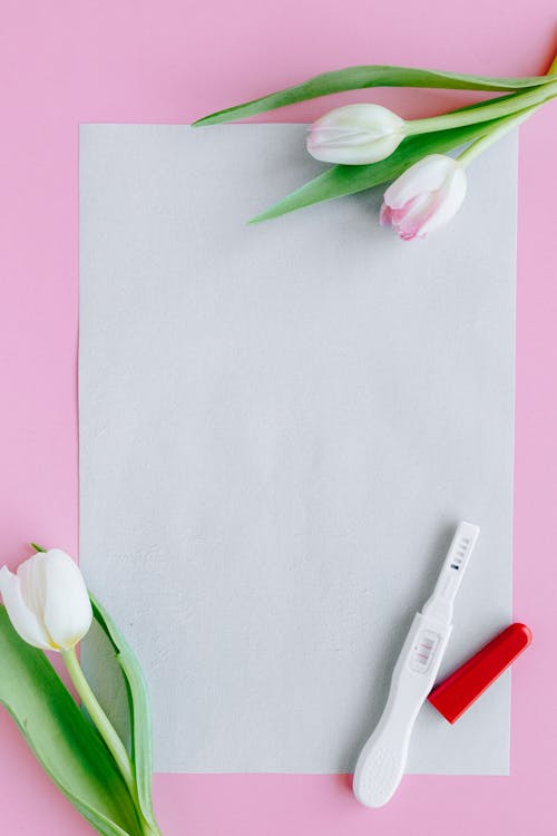 Artificial Tulip Flowers on White Paper 
