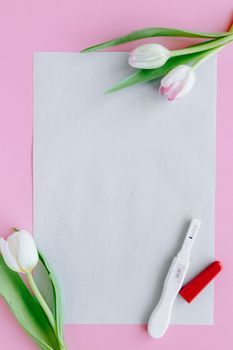 粉色背景上包含郁金香、白纸和妊娠测试棒的扁平实体模型