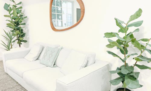Brown And Grey Leather Sofa With Throw Pillows Free Stock Photo Grey Leather Sofa With Throw Pillows, White Leather Sofa Pillows
