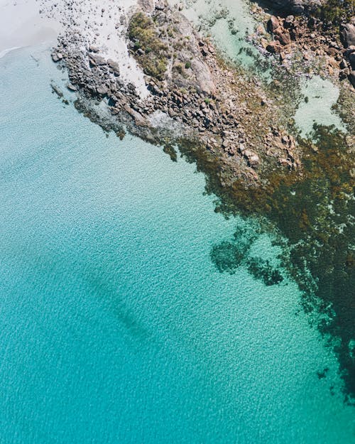 Top view of turquoise water washing stony coast with reefs located in tropical country on sunny summer day in lagoon