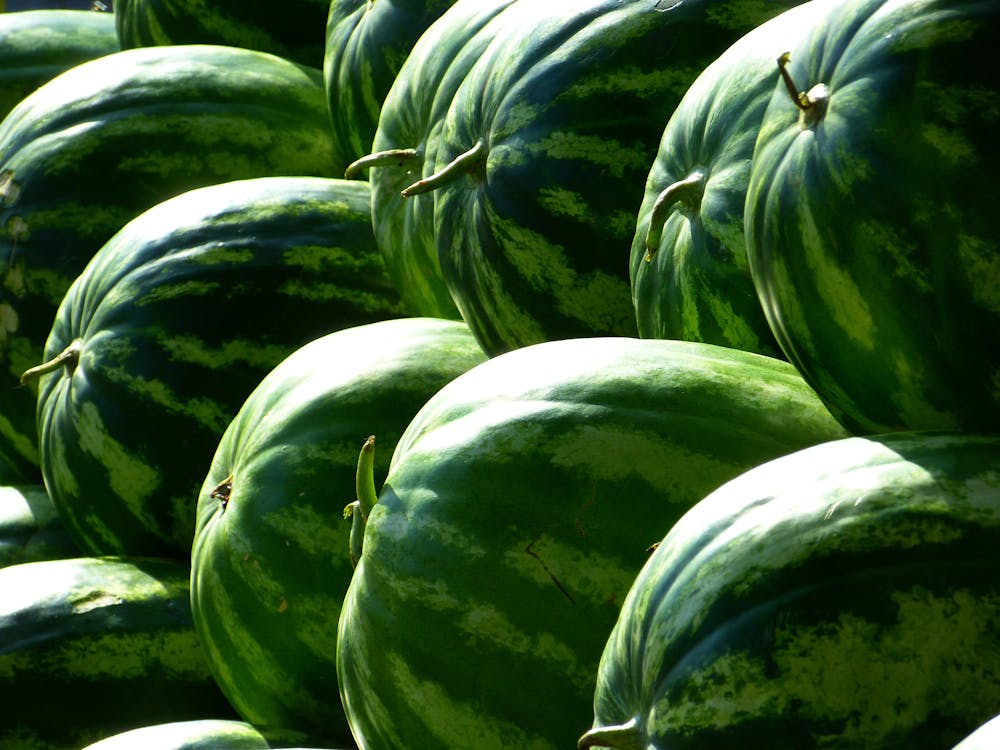 Free Green Piled Watermelon Stock Photo