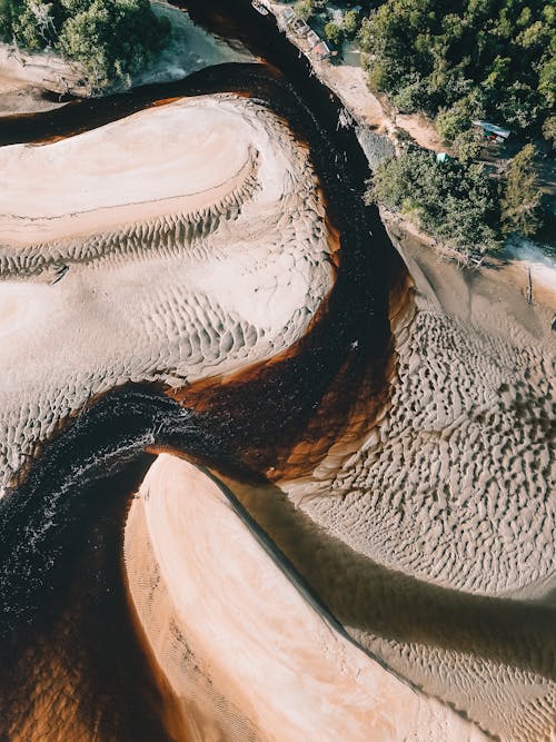 Picturesque drone view of sea curly water flowing among sandy beach near green trees on sunny day