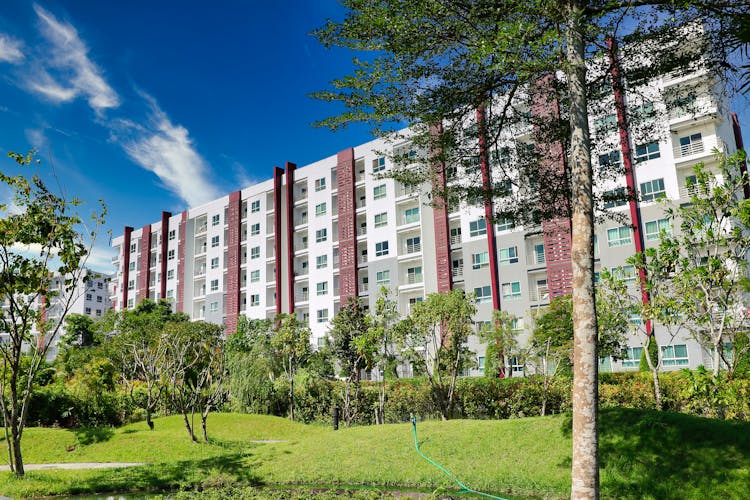 Apartment Block Exterior And A Green Park