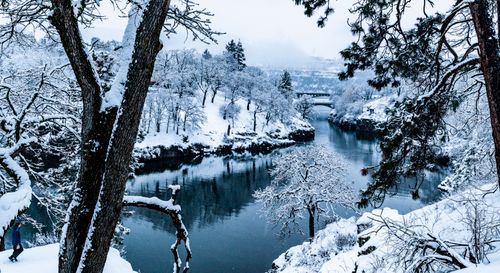Free A tranquil snowy river scene with trees and a bridge in Lyle, Washington during winter. Stock Photo