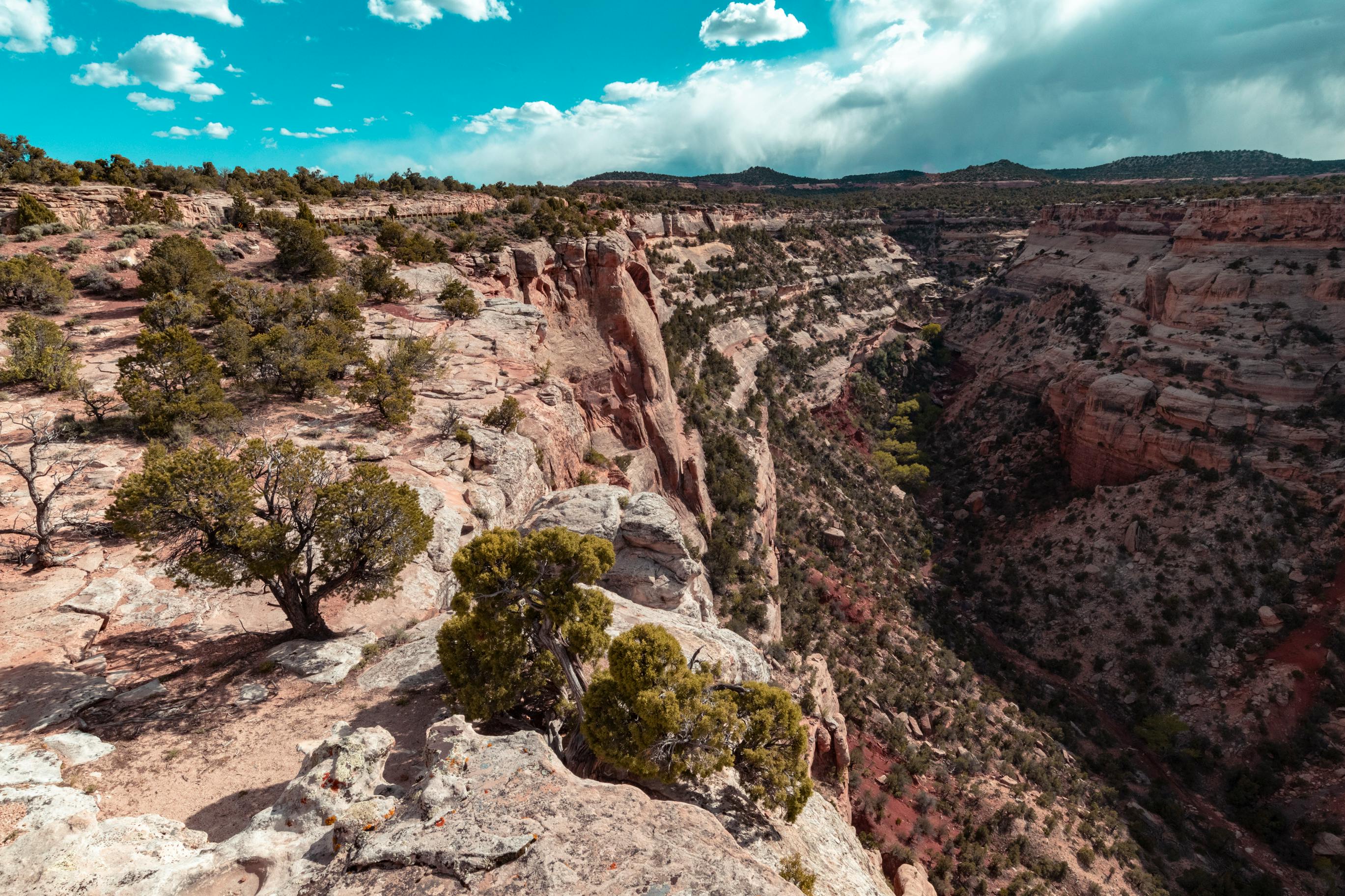 Fruita